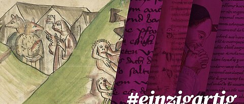 einzigartig, von Papageien, Einhörnern und Hundsköpfigen