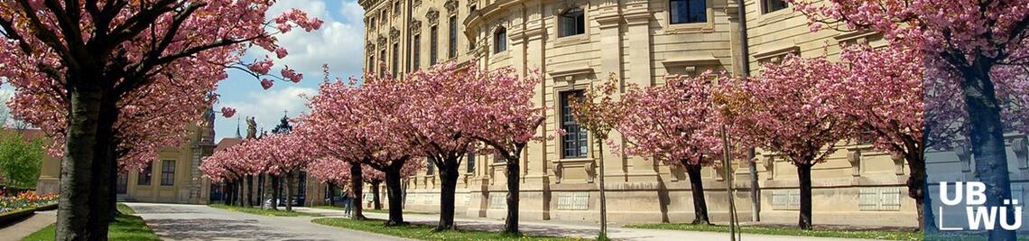 Residenz, Hofgarten