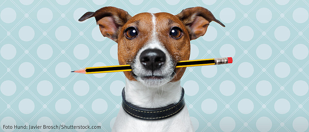 Hund mit Bleistift